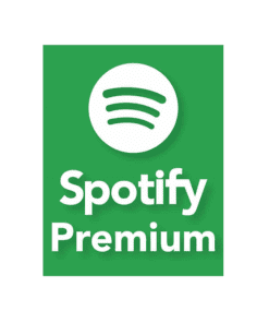 Abonnement Spotify Premium 12 Mois